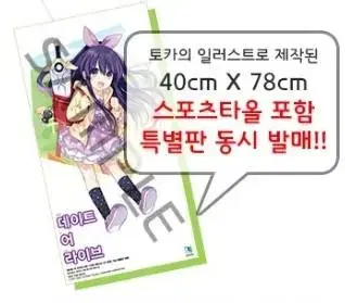 데이트 어 라이브 한정판 부록 토카 스포츠타올